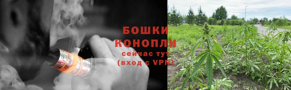 мдпв Россошь