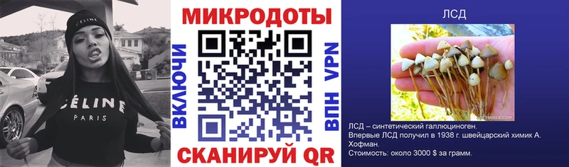 Галлюциногенные грибы Psilocybine cubensis площадка телеграм Салаир